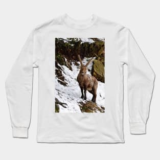 Ibex On Hill Long Sleeve T-Shirt